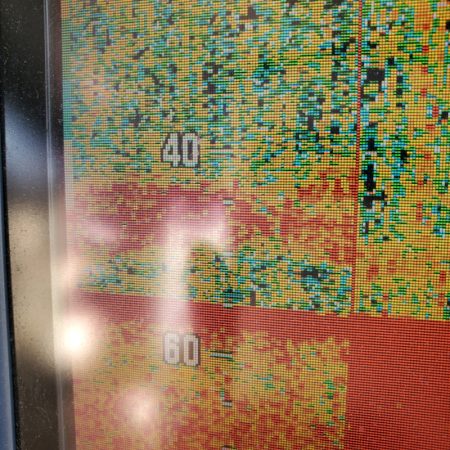 サンマリン 釣果