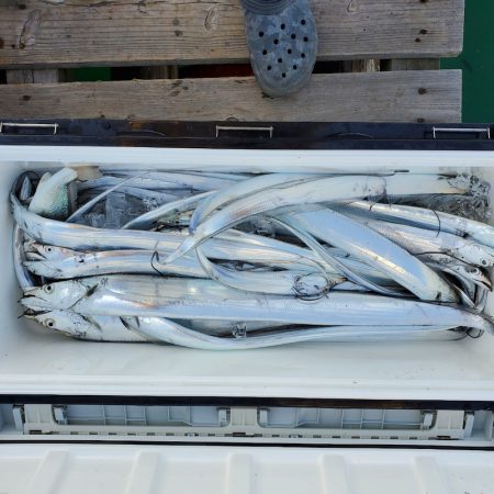 サンマリン 釣果