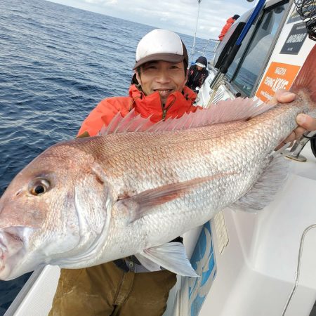 シーライオン 釣果