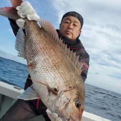 シーライオン 釣果