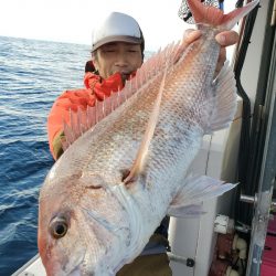 シーライオン 釣果