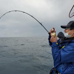 シーライオン 釣果