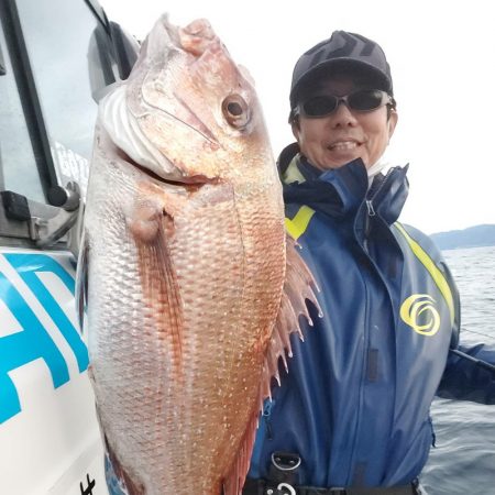 シーライオン 釣果