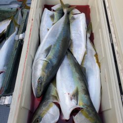 サンマリン 釣果