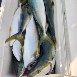 サンマリン 釣果