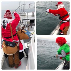 ビッグファイター 釣果