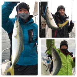 ビッグファイター 釣果