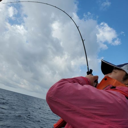 シーライオン 釣果