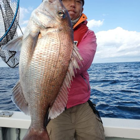 シーライオン 釣果