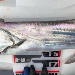 フィッシング　キッタカ 釣果