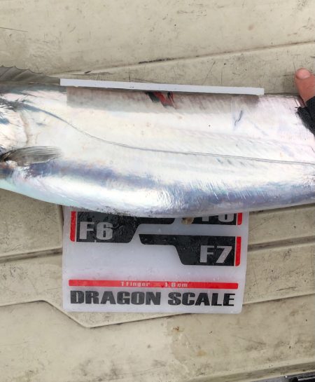 フィッシング　キッタカ 釣果