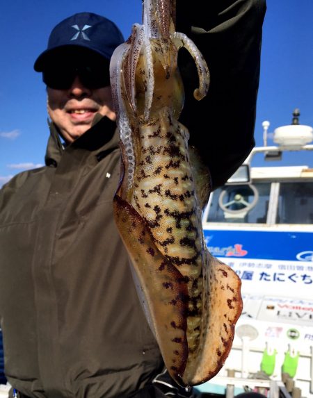 渡船屋たにぐち 釣果
