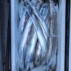 フィッシング　キッタカ 釣果