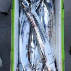 フィッシング キッタカ 釣果