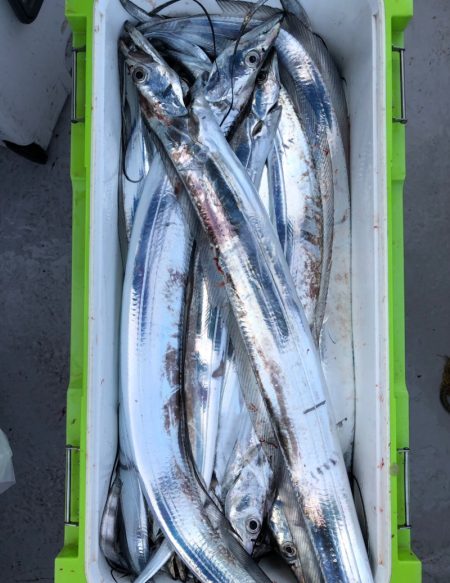 フィッシング キッタカ 釣果