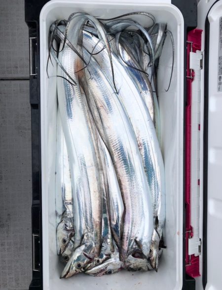 フィッシング キッタカ 釣果