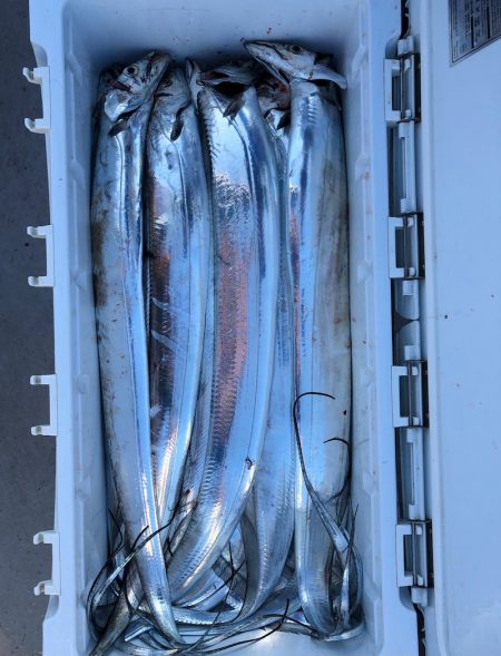 フィッシング　キッタカ 釣果