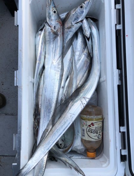 フィッシング キッタカ 釣果