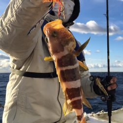 渡船屋たにぐち 釣果