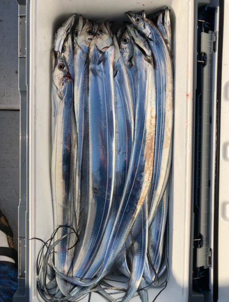 フィッシング　キッタカ 釣果