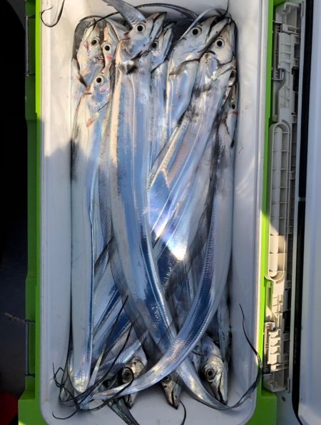 フィッシング キッタカ 釣果