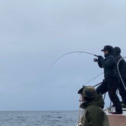 あみや渡船 JIGBOY 釣果