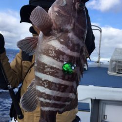渡船屋たにぐち 釣果