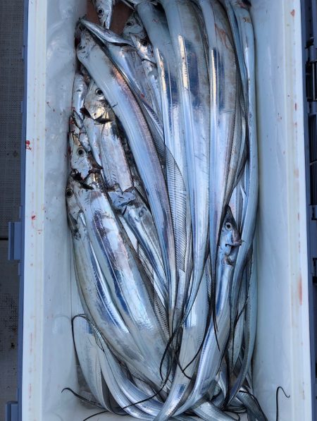 フィッシング キッタカ 釣果