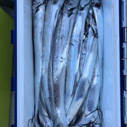 フィッシング キッタカ 釣果