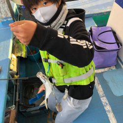 ヤザワ渡船 釣果