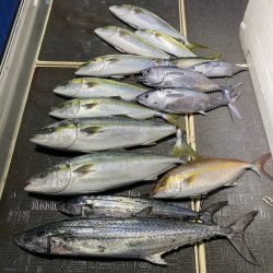 Monster Rush! 釣果