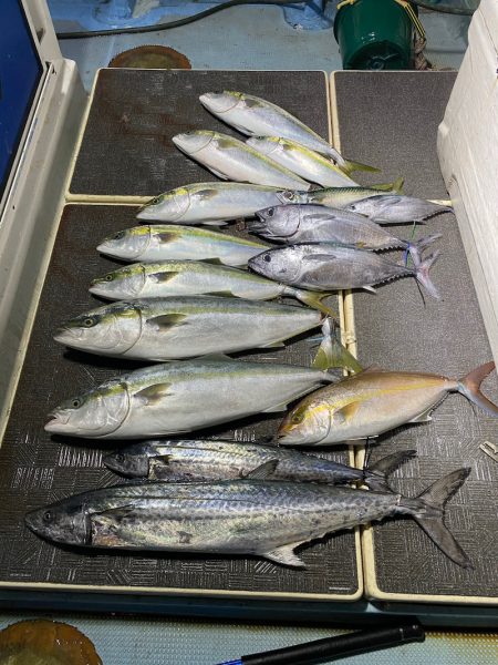 Monster Rush! 釣果