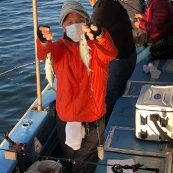 ヤザワ渡船 釣果