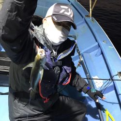 ヤザワ渡船 釣果