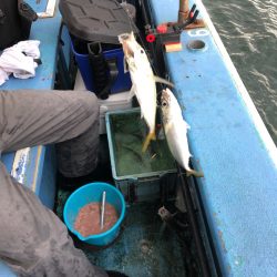 ヤザワ渡船 釣果