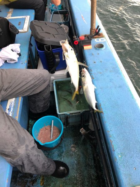 ヤザワ渡船 釣果