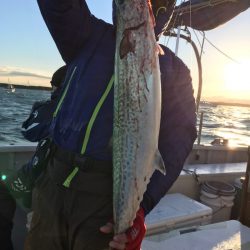 ランスルー 釣果