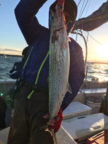 ランスルー 釣果