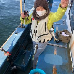 ヤザワ渡船 釣果