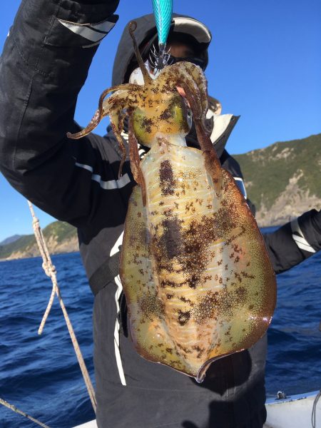 渡船屋たにぐち 釣果