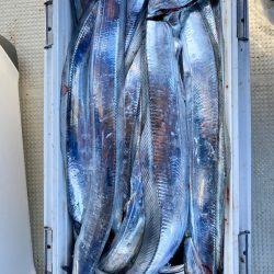 フィッシング キッタカ 釣果