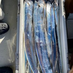 フィッシング キッタカ 釣果