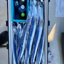 フィッシング キッタカ 釣果