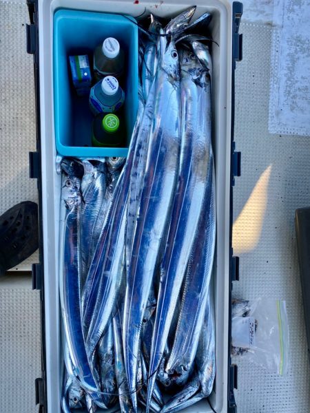 フィッシング キッタカ 釣果