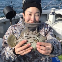 遊漁船メテオ 釣果