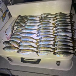 Monster Rush! 釣果