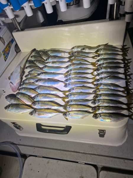 Monster Rush! 釣果