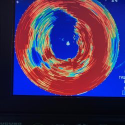 Monster Rush! 釣果