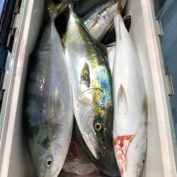 第二八坂丸 釣果