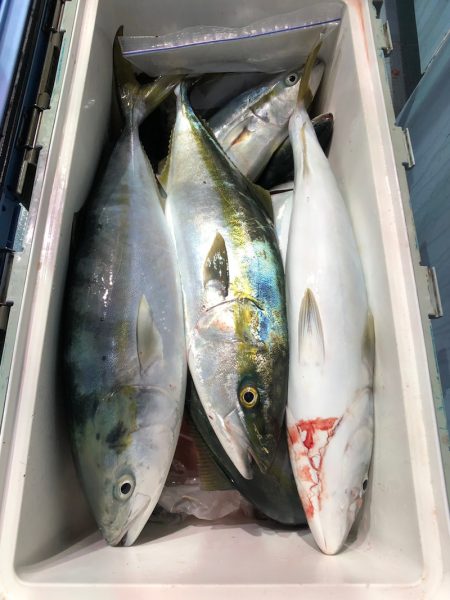 第二八坂丸 釣果